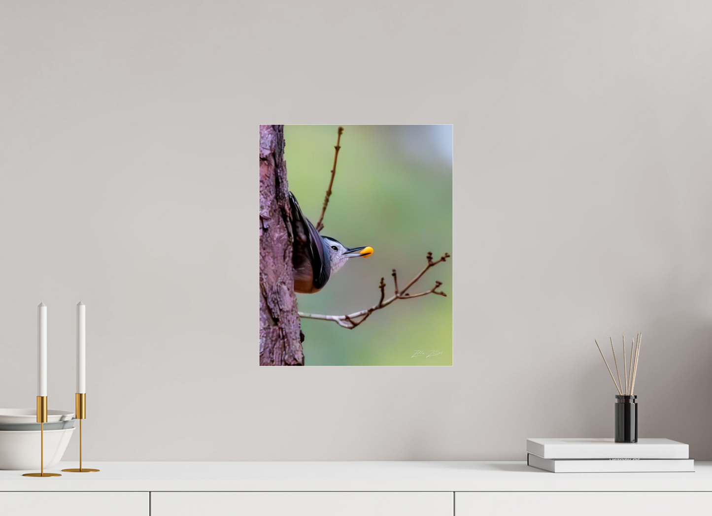 12 x 15″, Photo Print Under Acrylic Glass Zillas Zoom Image 503