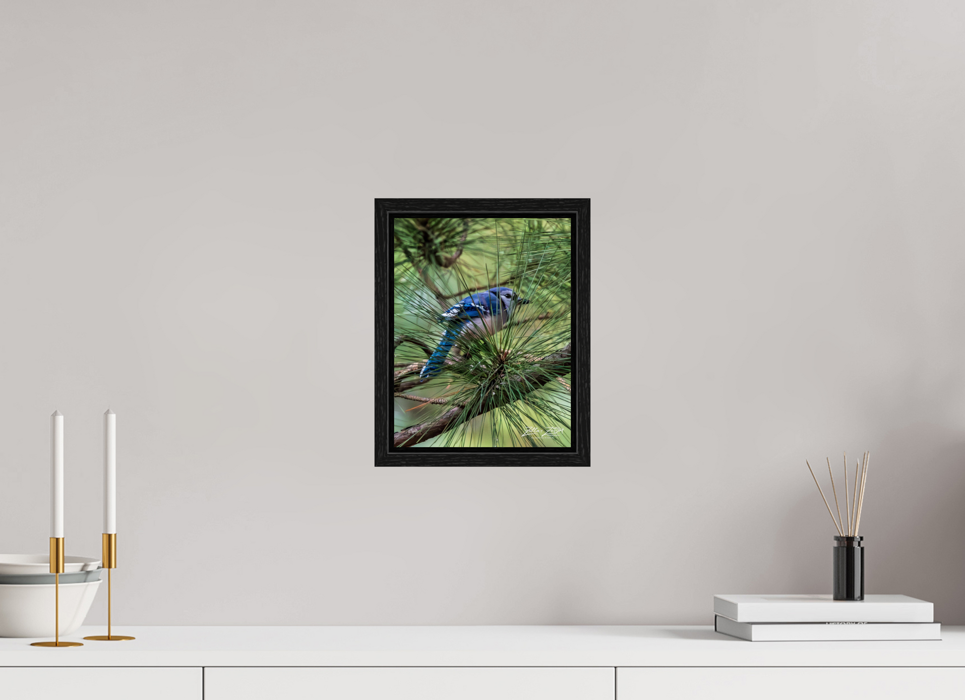 8 x 10.4″, Floater Frame Zillas Zoom Image 457