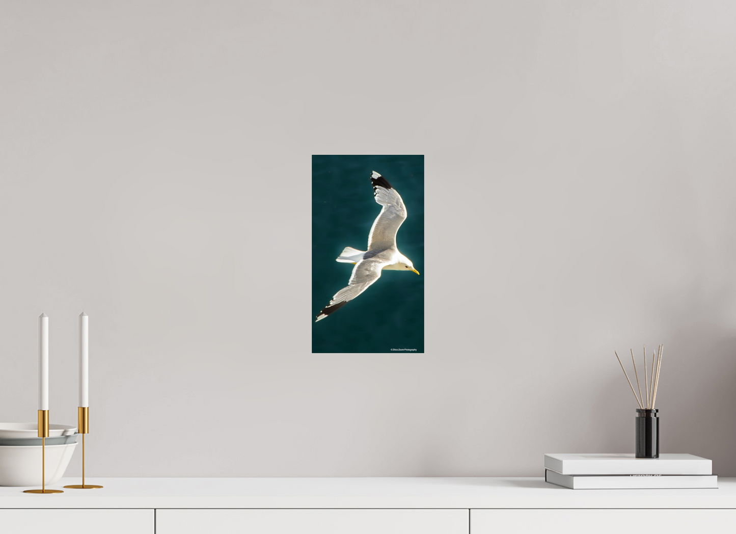6.8 x 12″, Photo Print Under Acrylic Glass Zillas Zoom Image 467