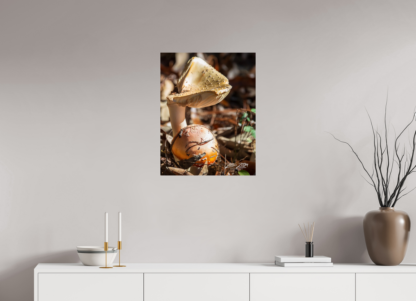 20 x 25.9″, Photo Print On Fuji Crystal DP II Zillas Zoom Image 116