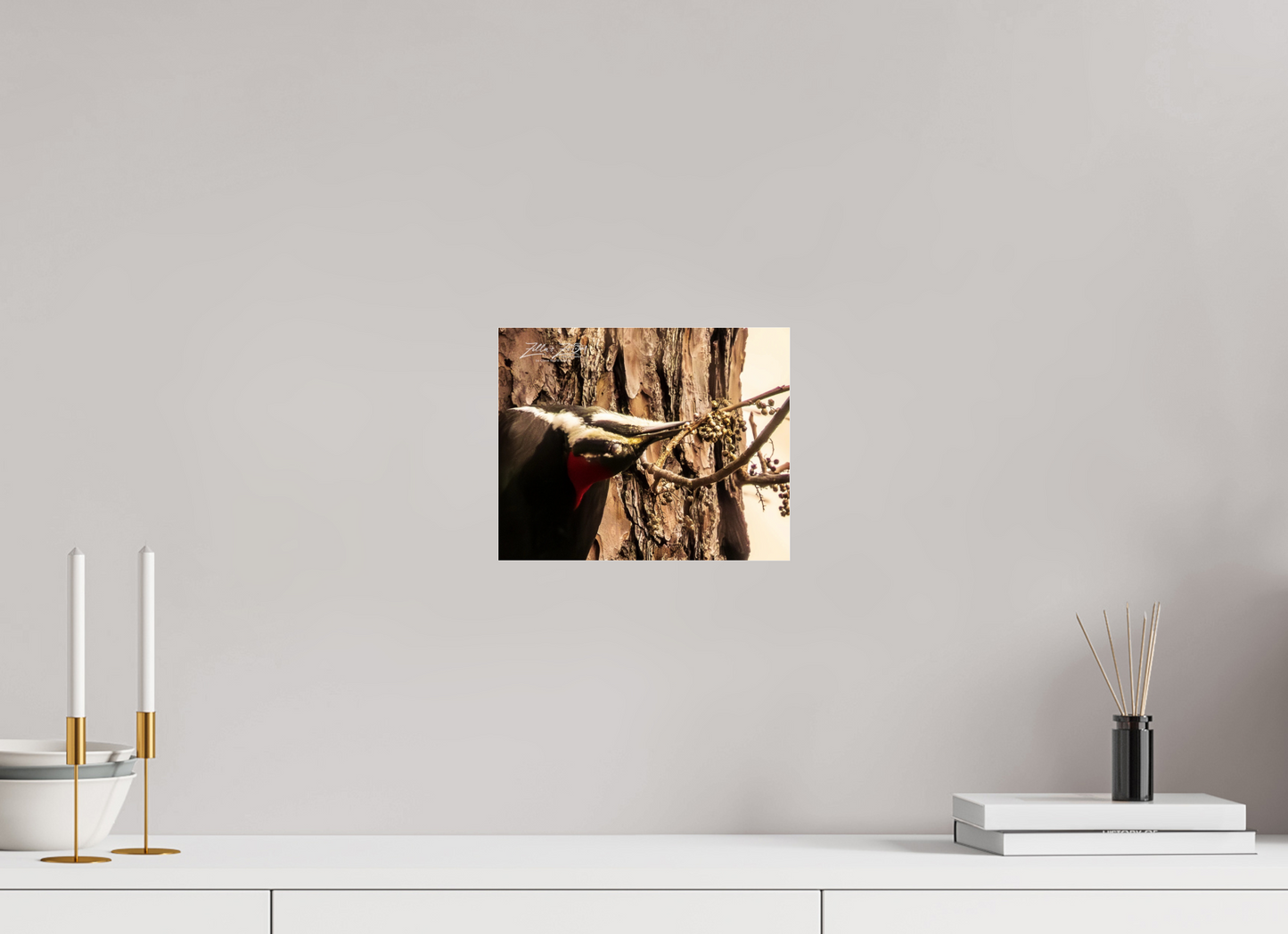 10 x 8″, Photo Print Under Acrylic Glass Zillas Zoom Image 280