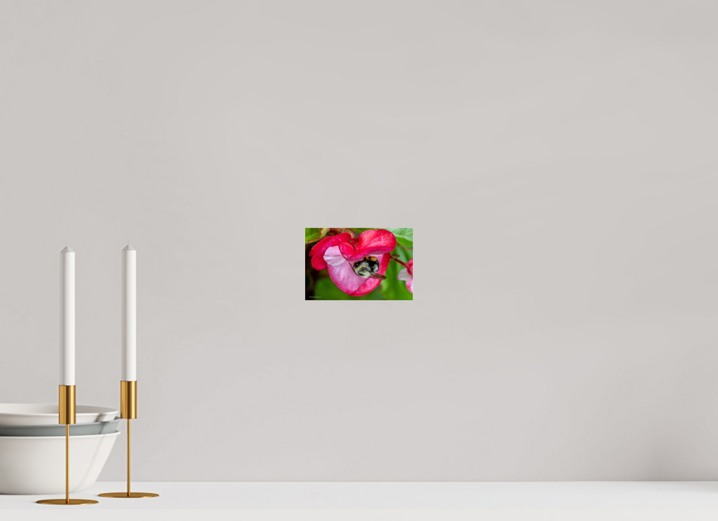 6 x 4″, Photo Print Under Acrylic Glass Zillas Zoom Image 101