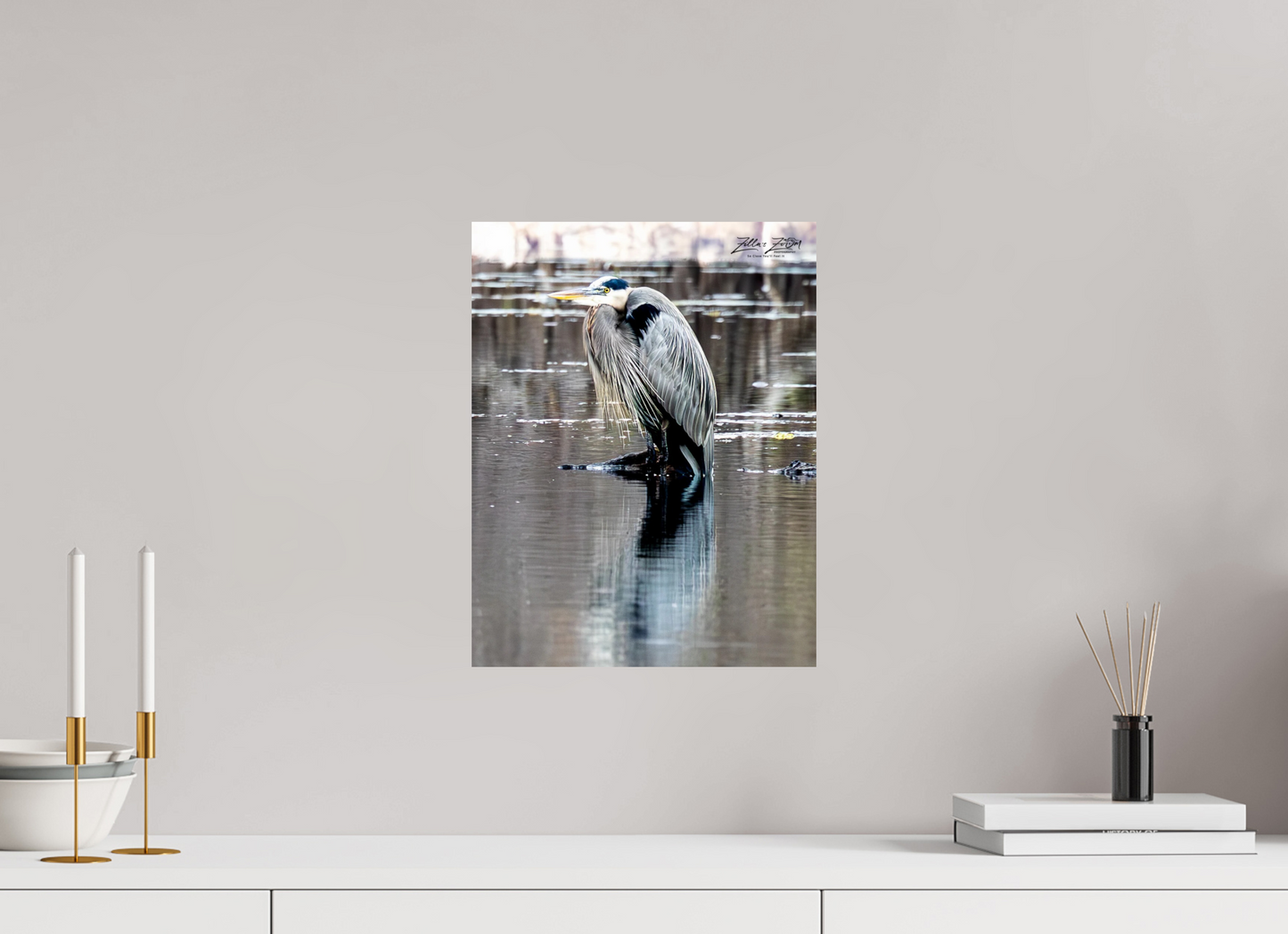 12 x 15.5″, Photo Print On Fuji Crystal DP II Zillas Zoom Image 436