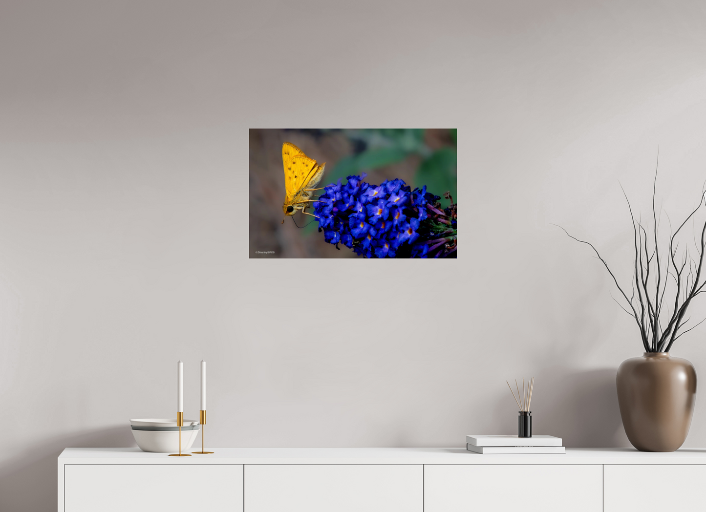 25.6 x 16″, Photo Print Under Acrylic Glass Zillas Zoom Image 61