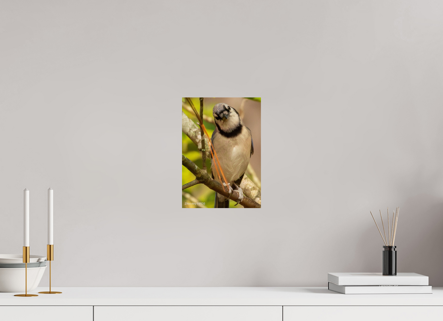 8 x 11.2″, Photo Print On Fuji Crystal DP II Zillas Zoom Image 505