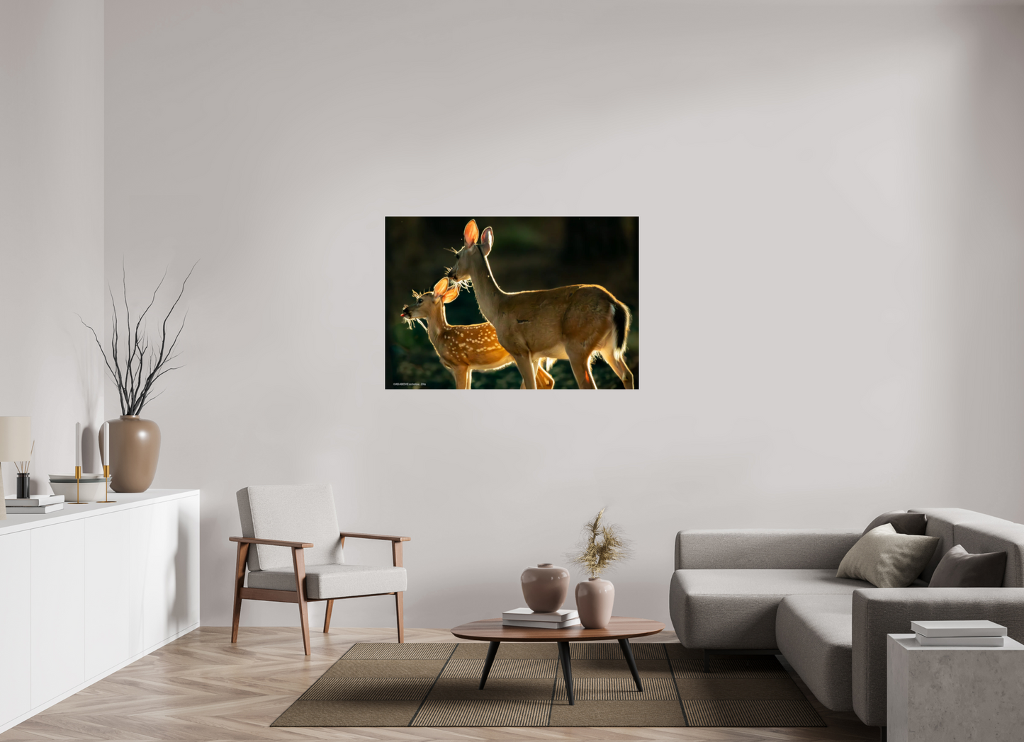 51.3 x 35″, Photo Print Under Acrylic Glass Zillas zoom image 146