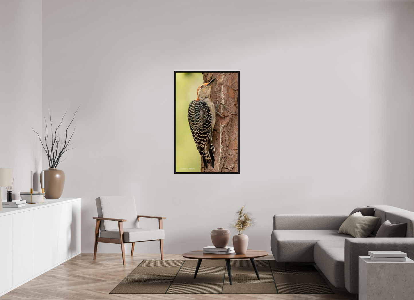 31 x 49.6″, Floater Frame Zillas Zoom Image 456