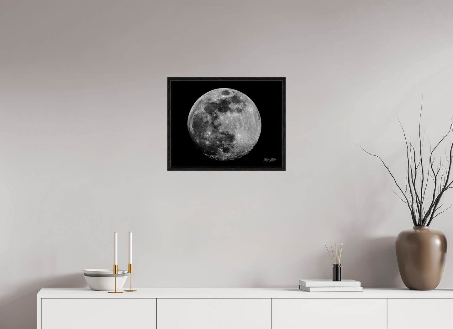 20.7 x 16″, Floater Frame Zillas zoom image 119