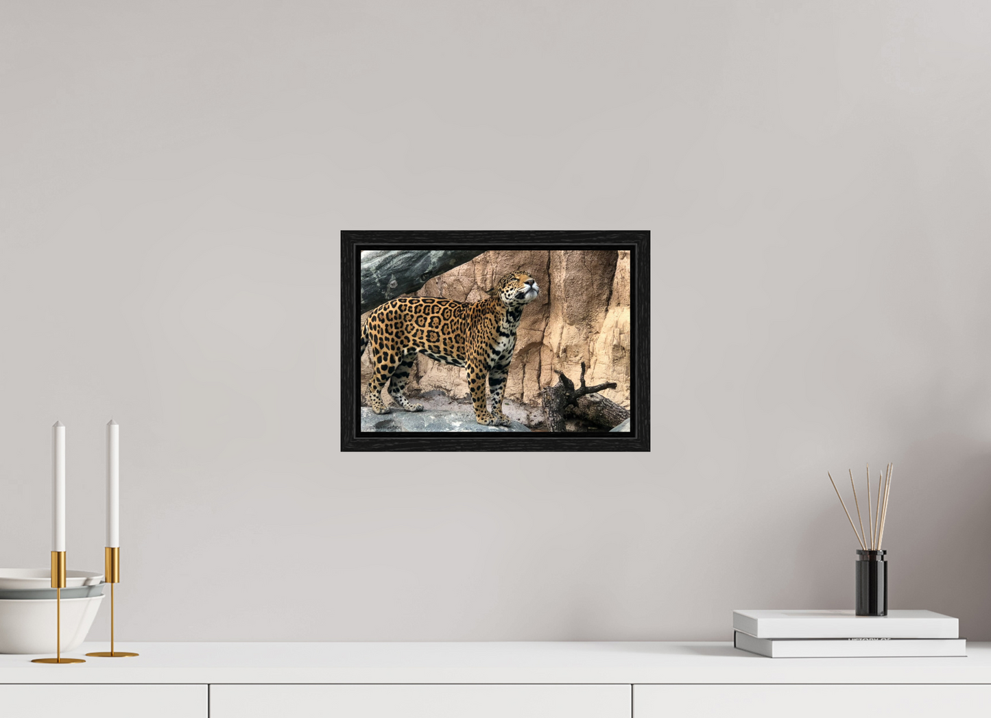 11.9 x 8″, Floater Frame Zillas zoom image 138