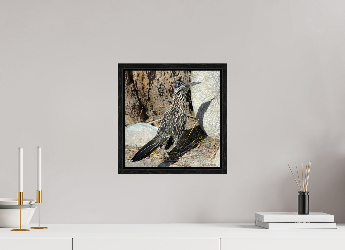 12 x 12.2″, Floater Frame Zillas Zoom Image 362