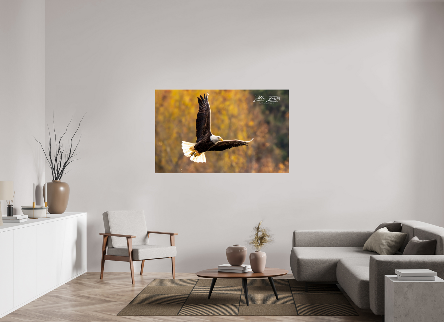 62.4 x 39″, Photo Print Under Acrylic Glass Zillas Zoom Image 272