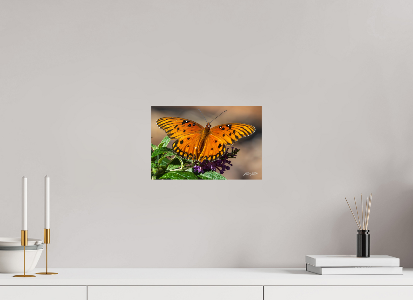 12 x 8″, Photo Print On Fuji Crystal DP II Zillas Zoom Image 57