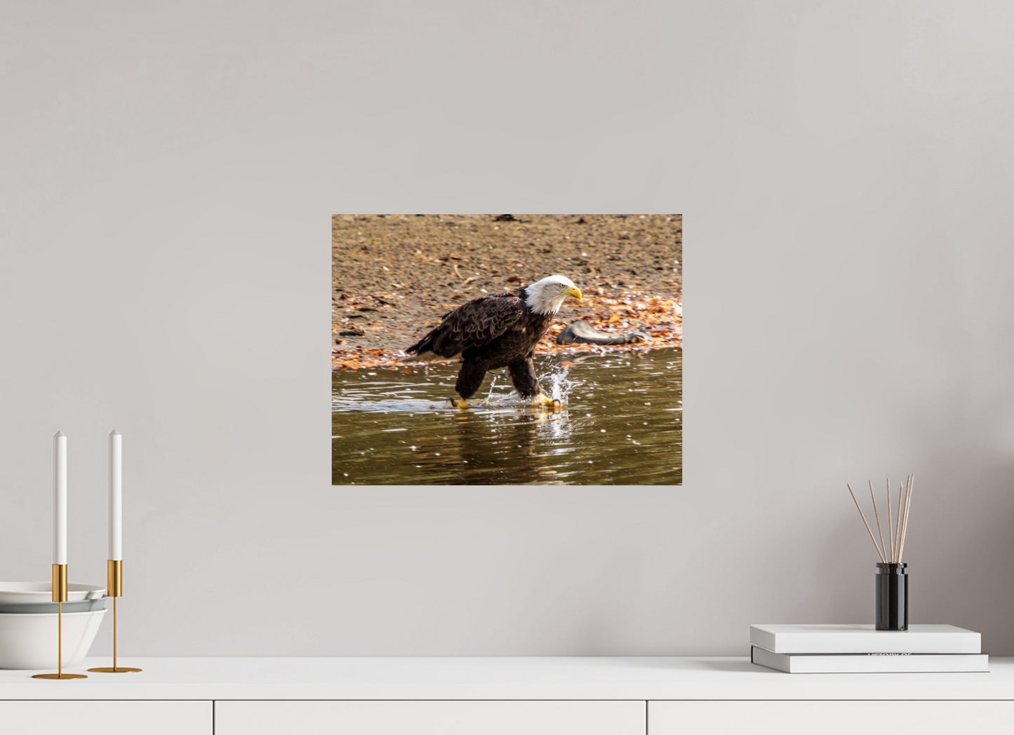 15.5 x 12″, Photo Print On Fuji Crystal DP II Zillas Zoom Image 393