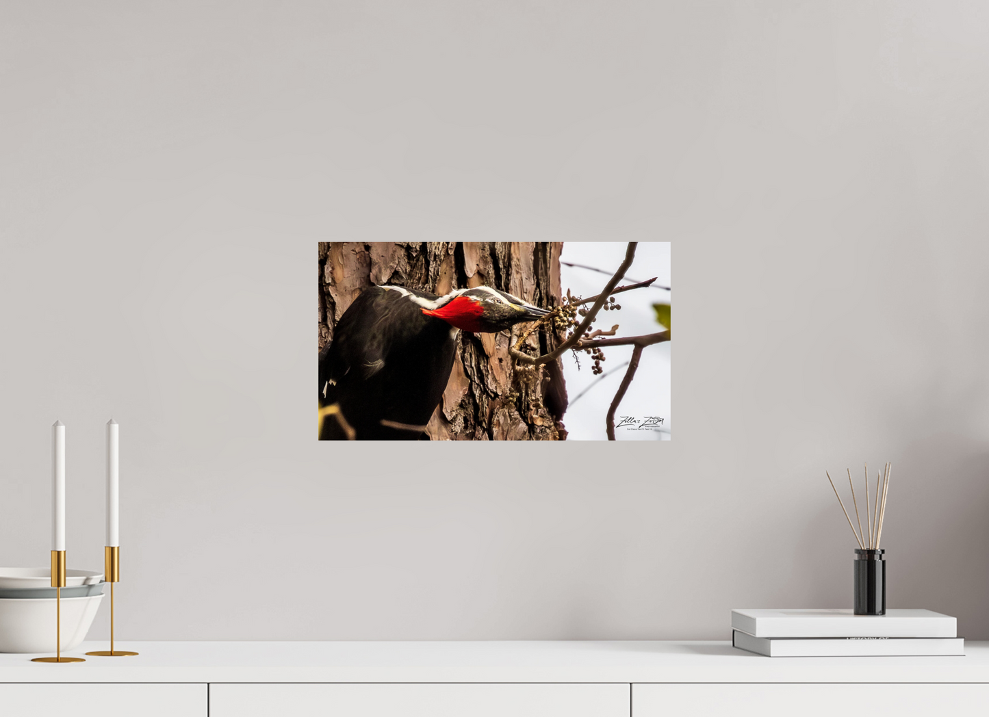 16 x 9″, Photo Print On Fuji Crystal DP II Zillas Zoom Image 283