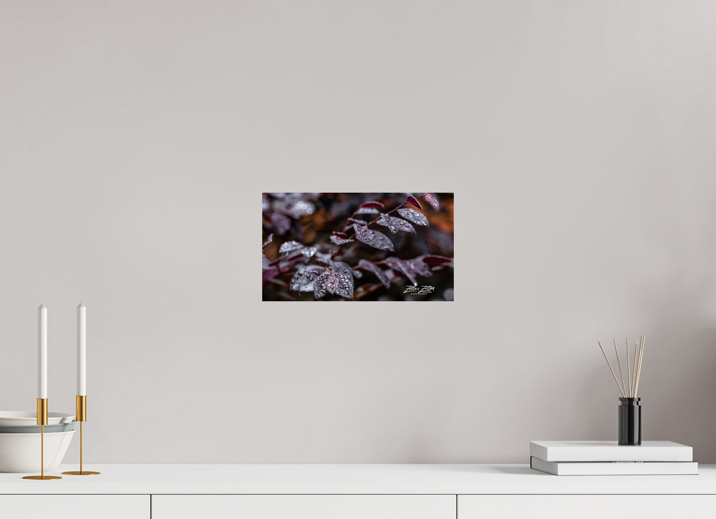 12 x 6.8″, Photo Print On Fuji Crystal DP II Zillas Zoom Image 88