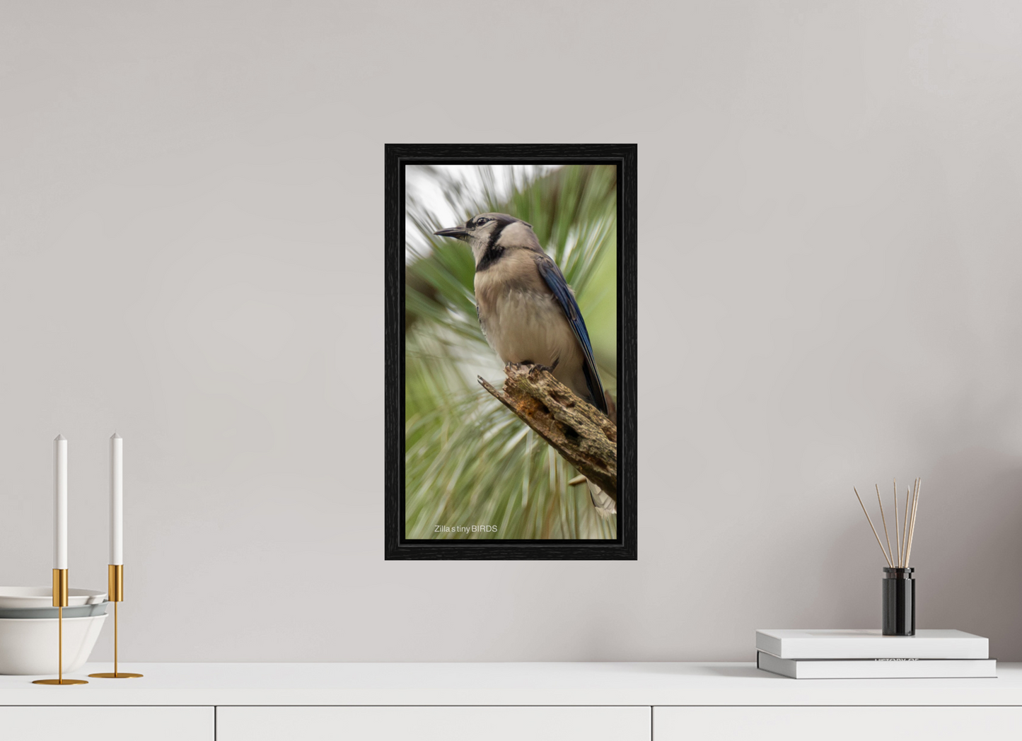 9 x 16″, Floater Frame Zillas Zoom Image 488