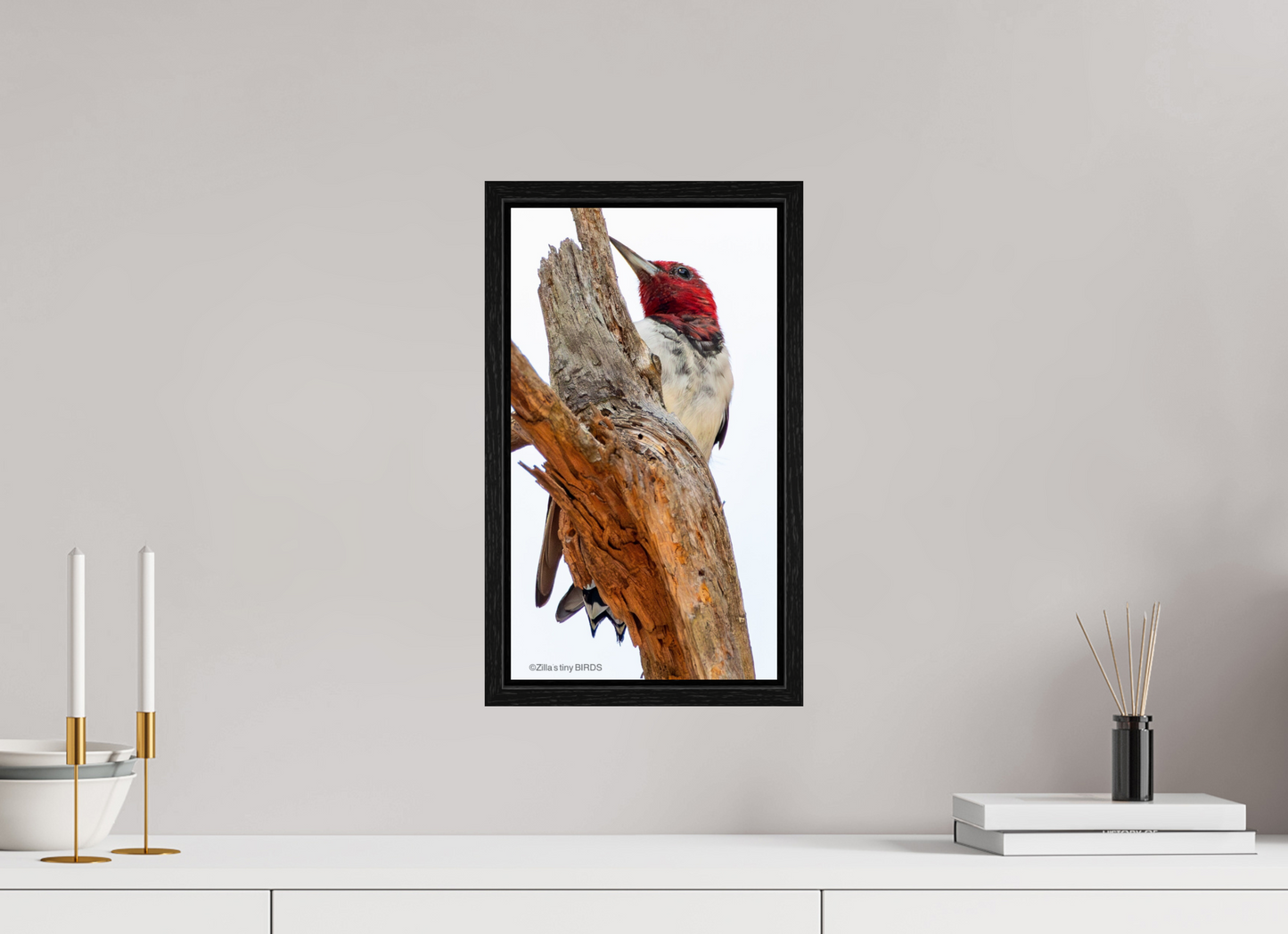 9 x 16″, Floater Frame Zillas Zoom Image 439