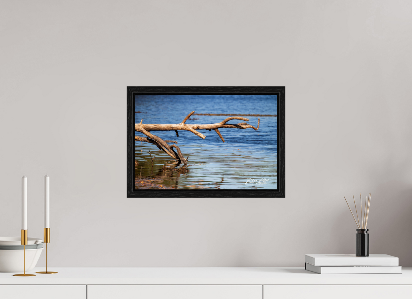 15 x 10″, Floater Frame Zillas Zoom Image 213