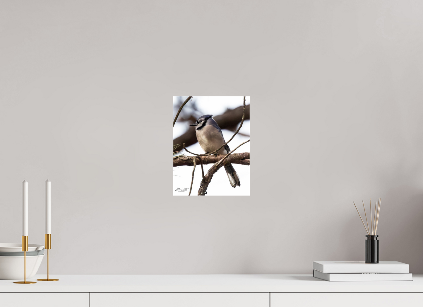 8 x 10.4″, Photo Print Under Acrylic Glass Zillas Zoom Image 455