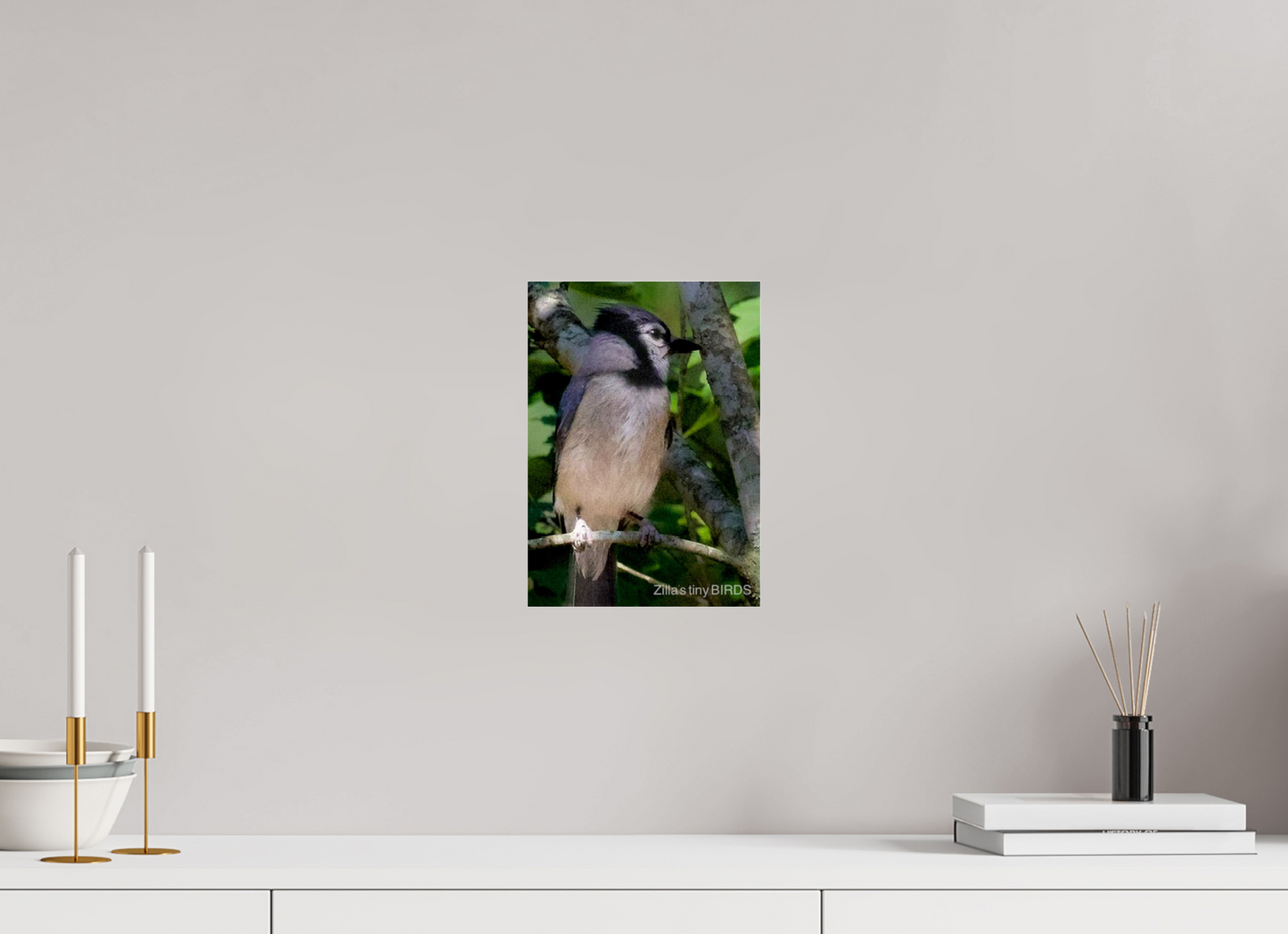 8 x 11.2″, Photo Print Under Acrylic Glass Zillas Zoom Image 470