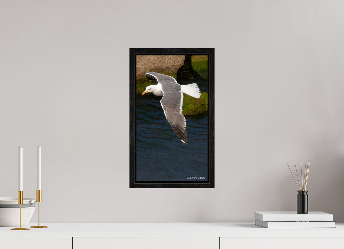 9 x 16″, Floater Frame Zillas Zoom Image 476