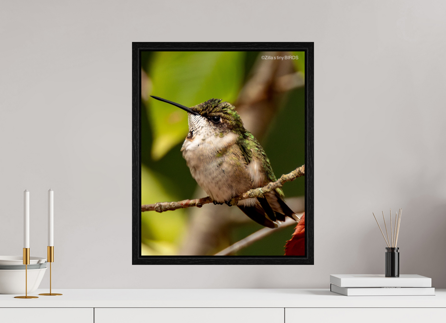 16 x 20″, Floater Frame Zillas Zoom Image 515