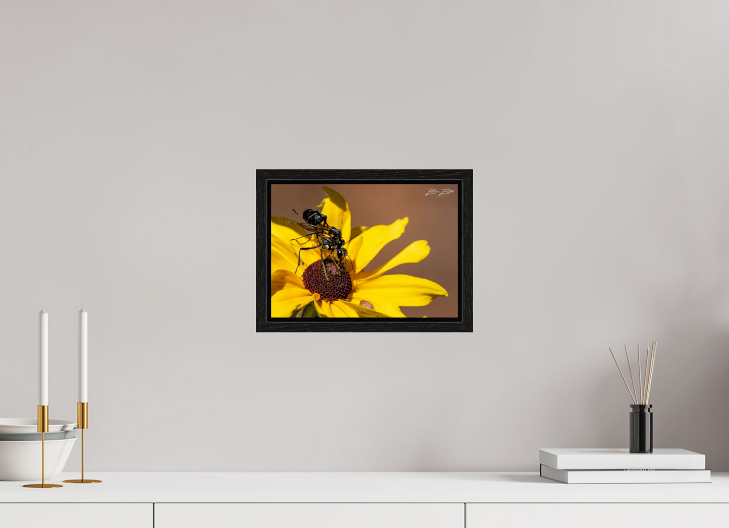 11.2 x 8″, Floater Frame Zillas Zoom Image 104