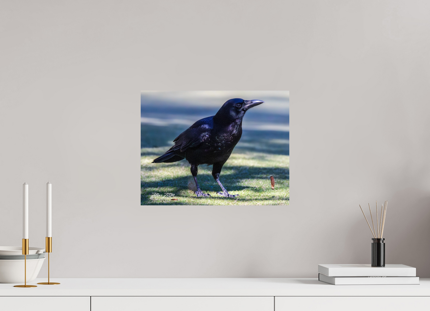 15.5 x 12″, Photo Print On Fuji Crystal DP II Zillas Zoom Image 322
