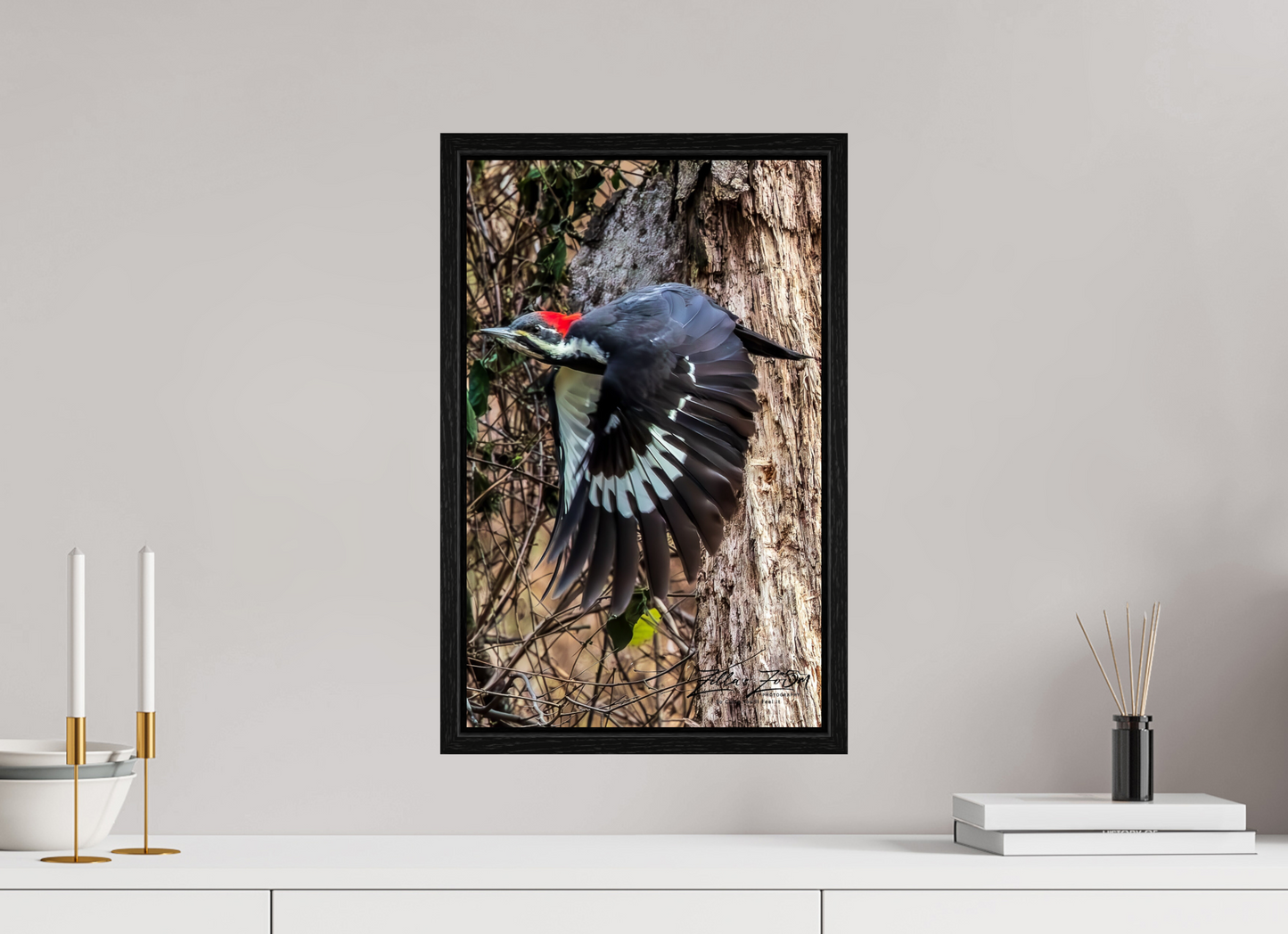 12 x 19.2″, Floater Frame Zillas Zoom Image 419