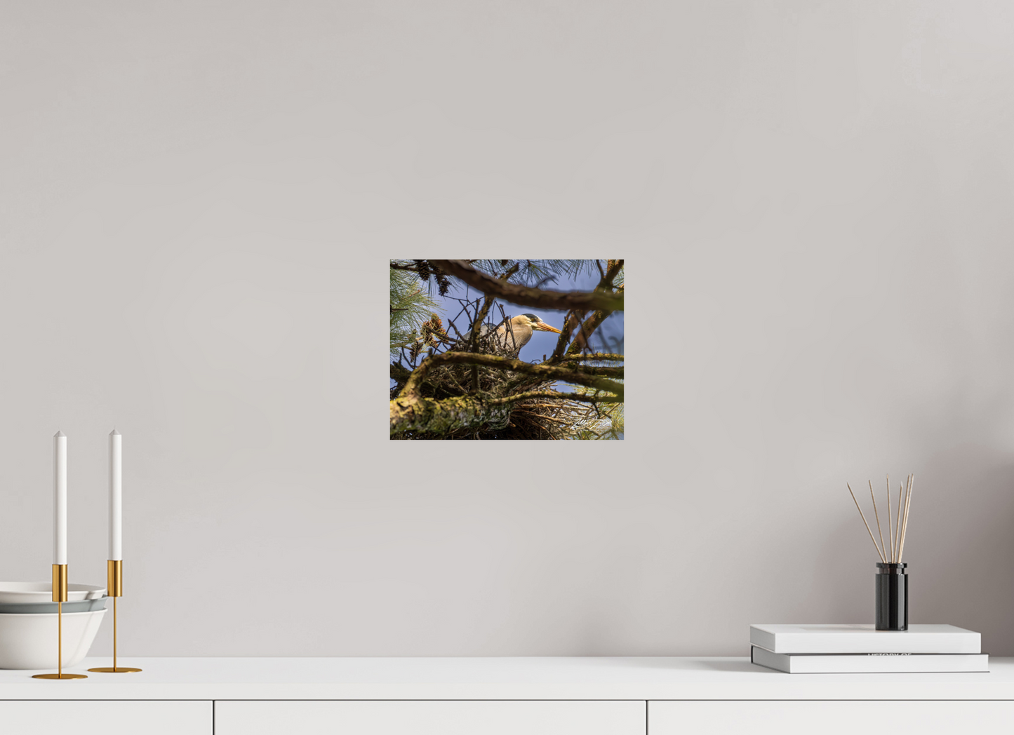 10.4 x 8″, Photo Print On Fuji Crystal DP II Zillas Zoom Image 361