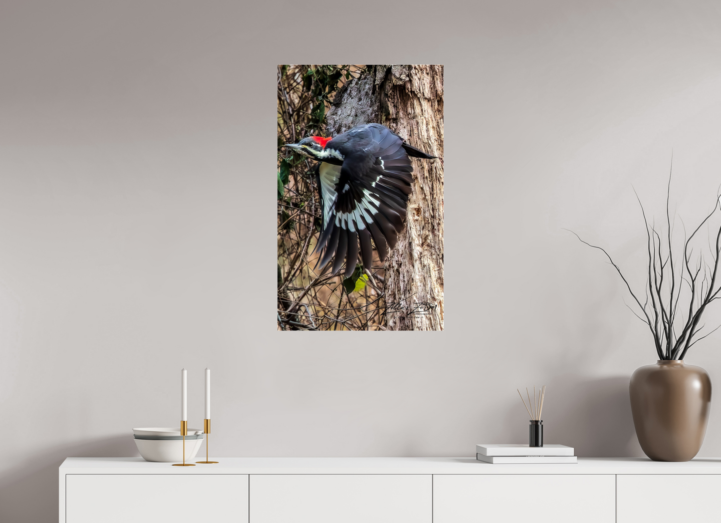 20 x 32″, Photo Print Under Acrylic Glass Zillas Zoom Image 419