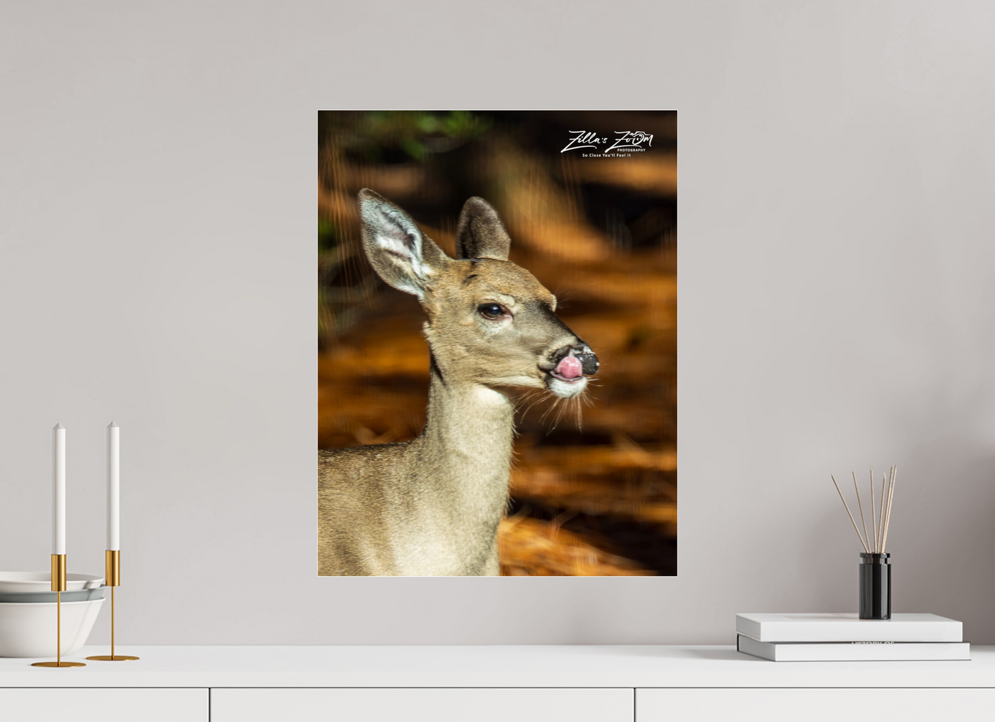 16 x 20.7″, Photo Print Under Acrylic Glass Zillas zoom image 152