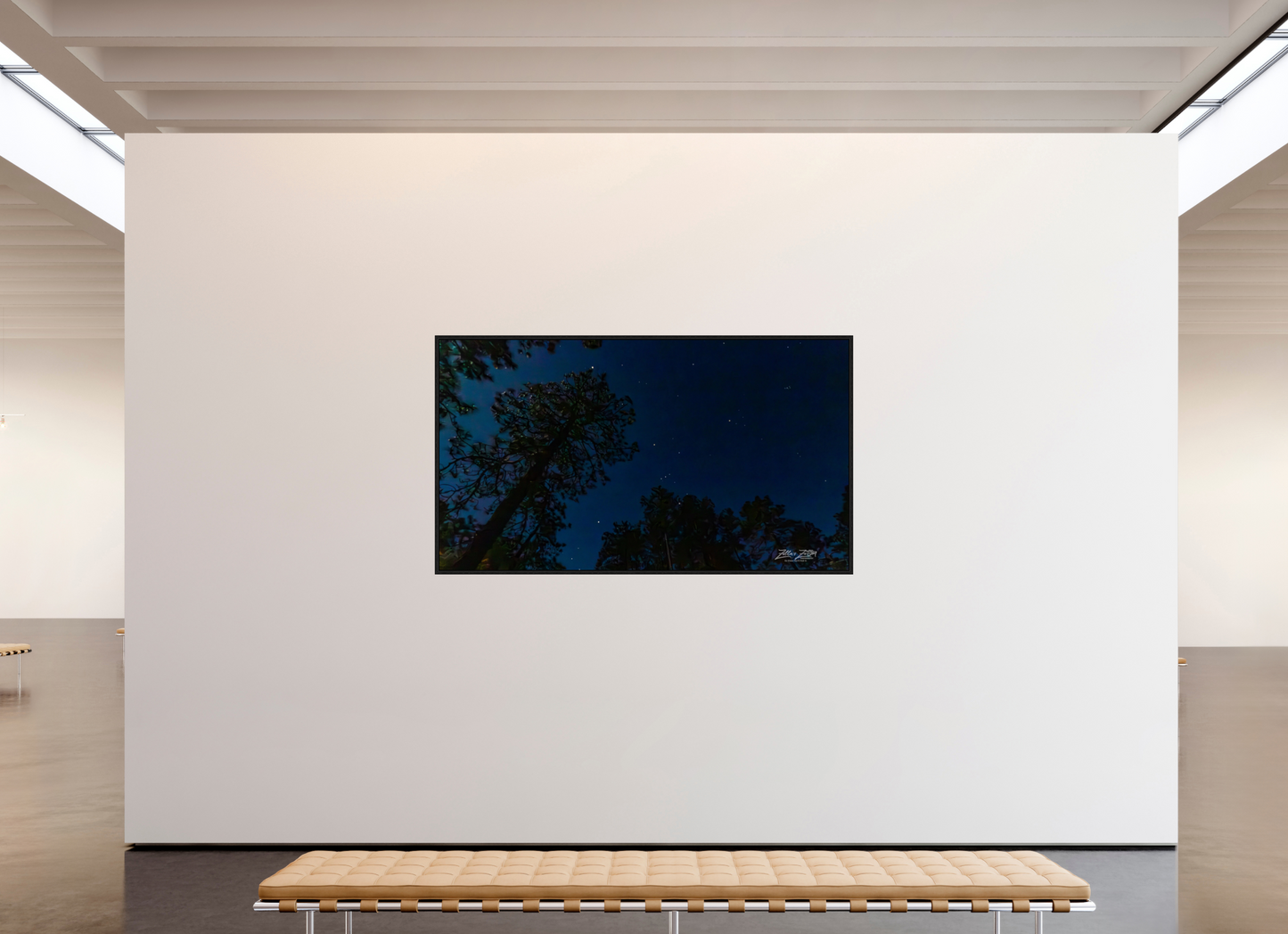80 x 45″, Floater Frame Zillas zoom image 127