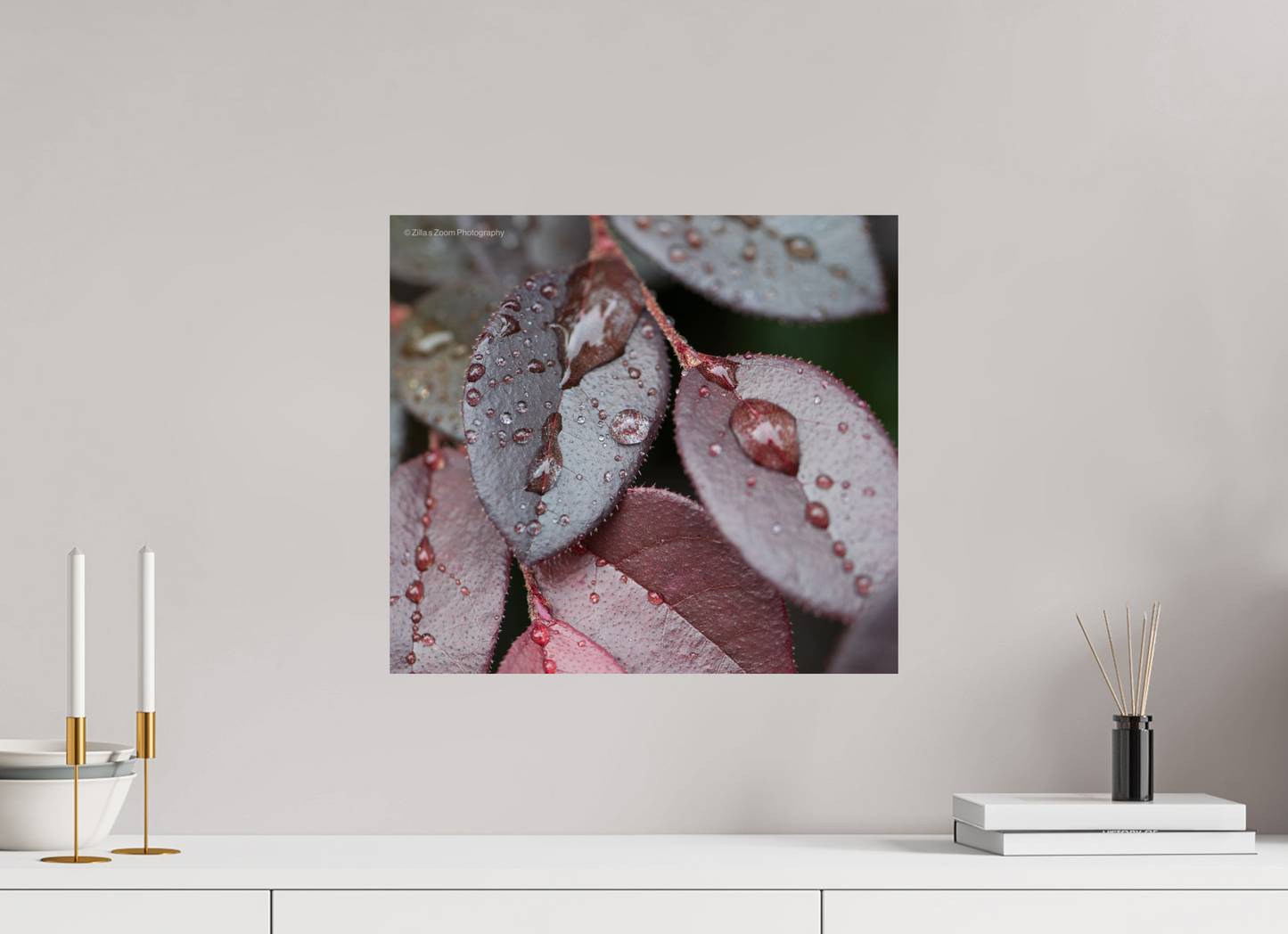17.7 x 16″, Photo Print On Fuji Crystal DP II Zillas Zoom Image 99