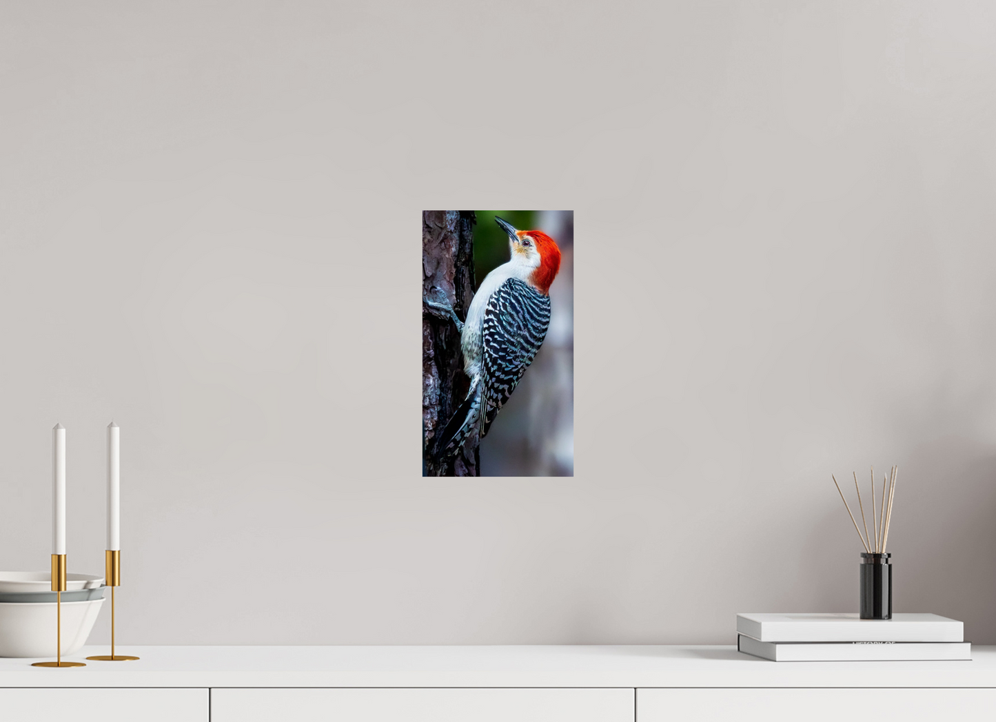 6.8 x 12″, Photo Print On Fuji Crystal DP II Zillas Zoom Image 447