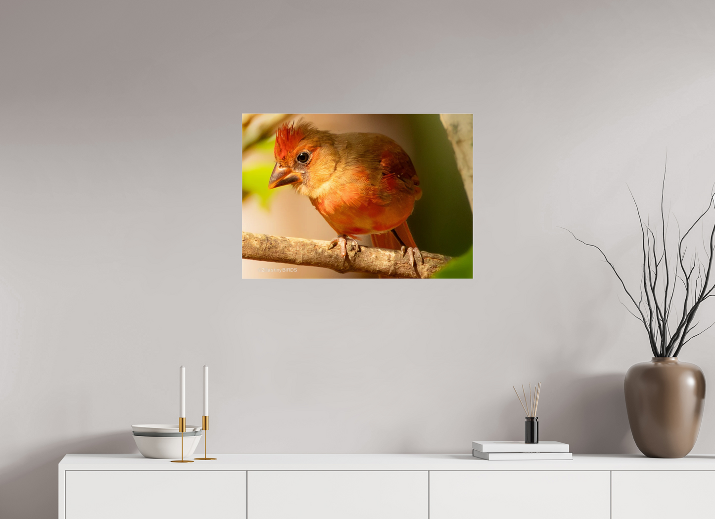 28 x 20″, Photo Print Under Acrylic Glass Zillas Zoom Image 316