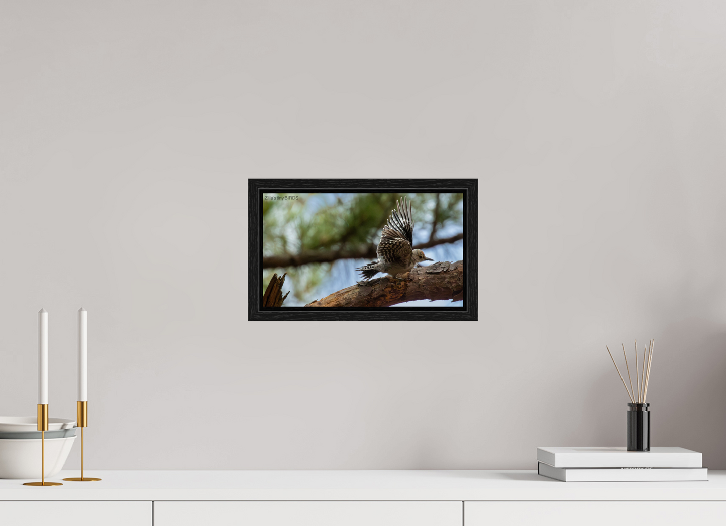 12 x 6.8″, Floater Frame Zillas Zoom Image 388