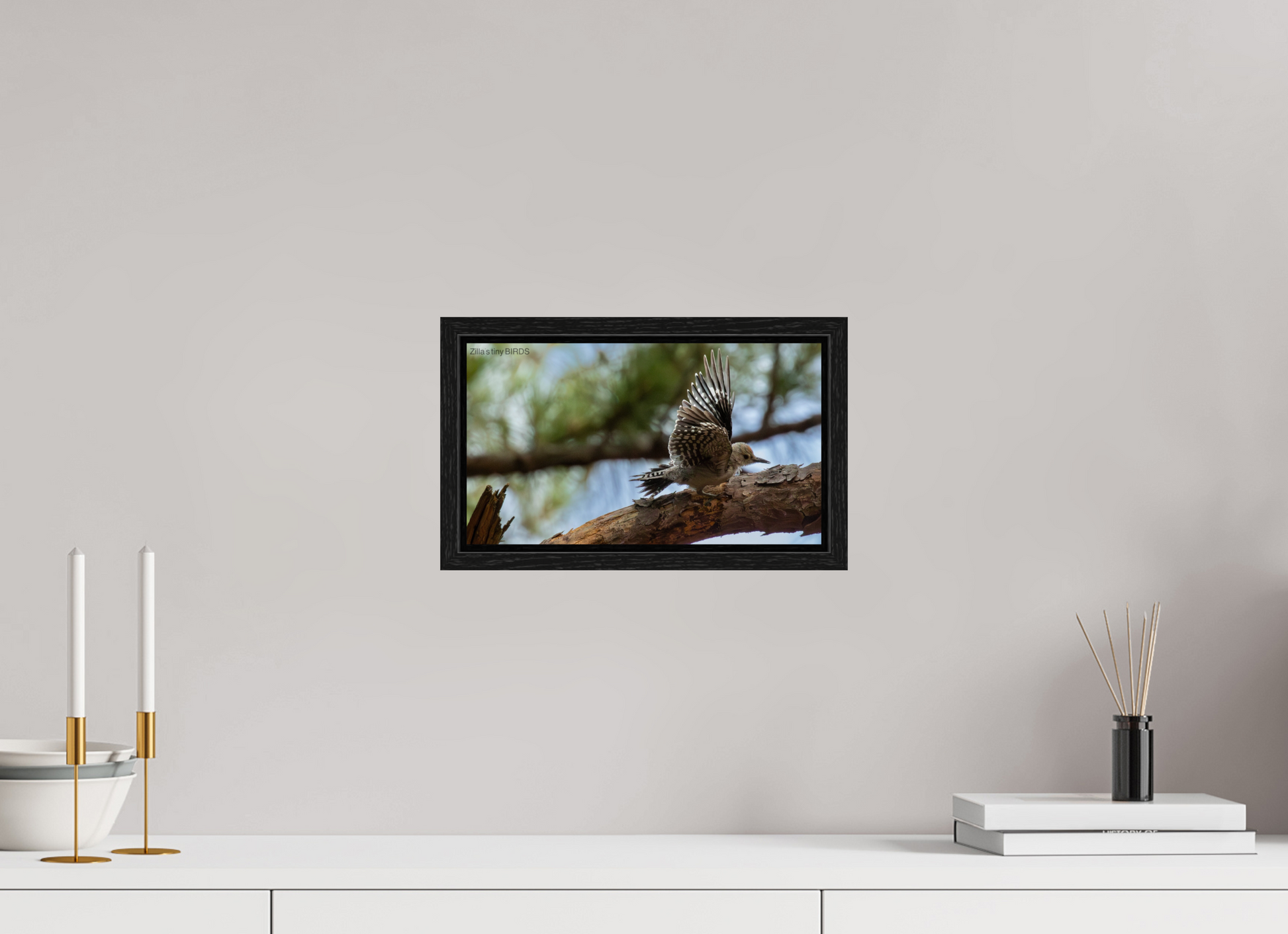 12 x 6.8″, Floater Frame Zillas Zoom Image 388
