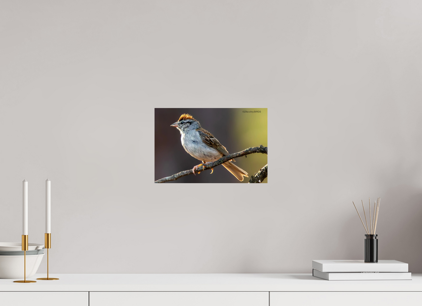 12 x 8″, Photo Print On Fuji Crystal DP II Zillas Zoom Image 308