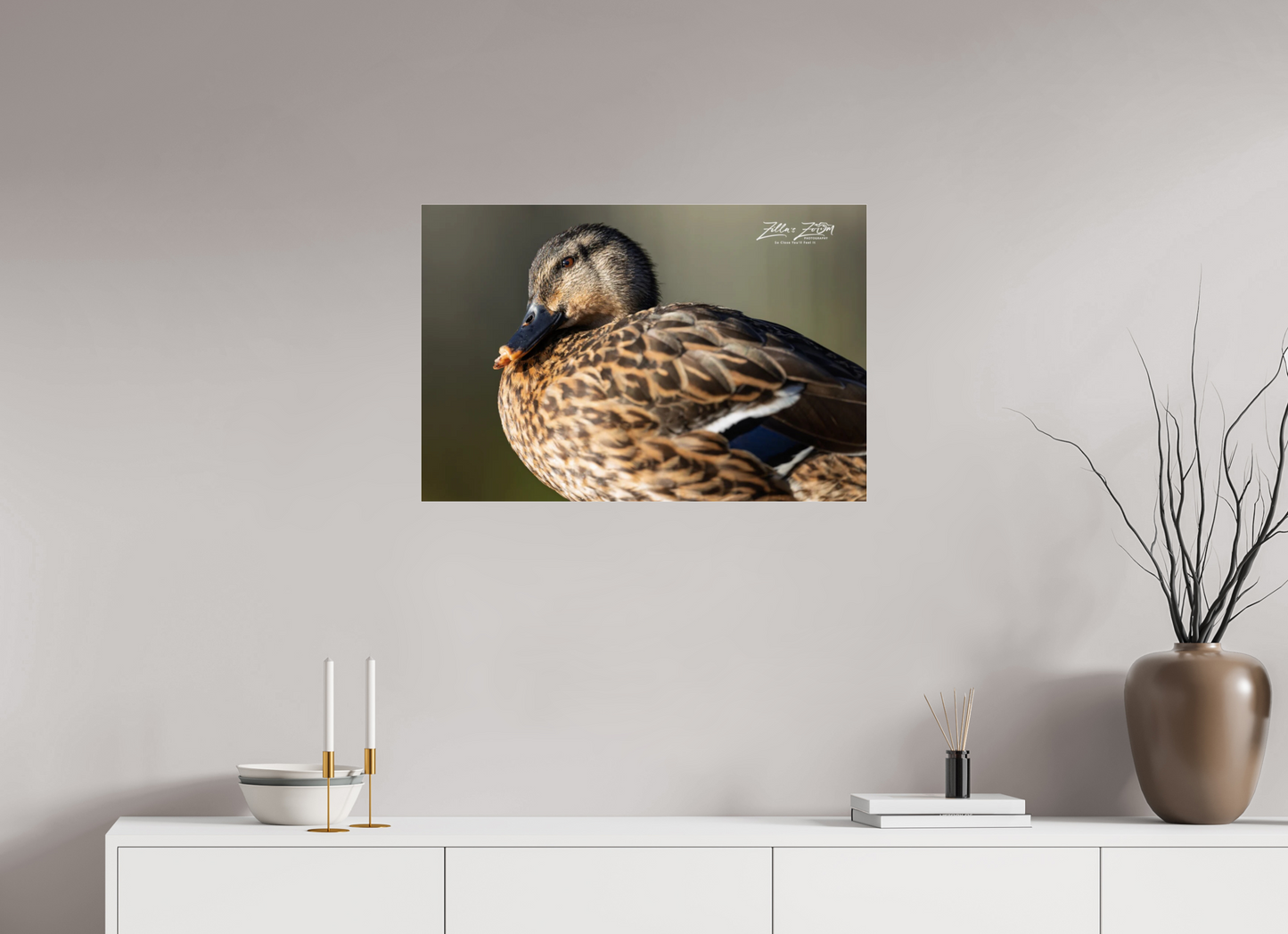 30 x 20″, Photo Print Under Acrylic Glass Zillas Zoom Image 300