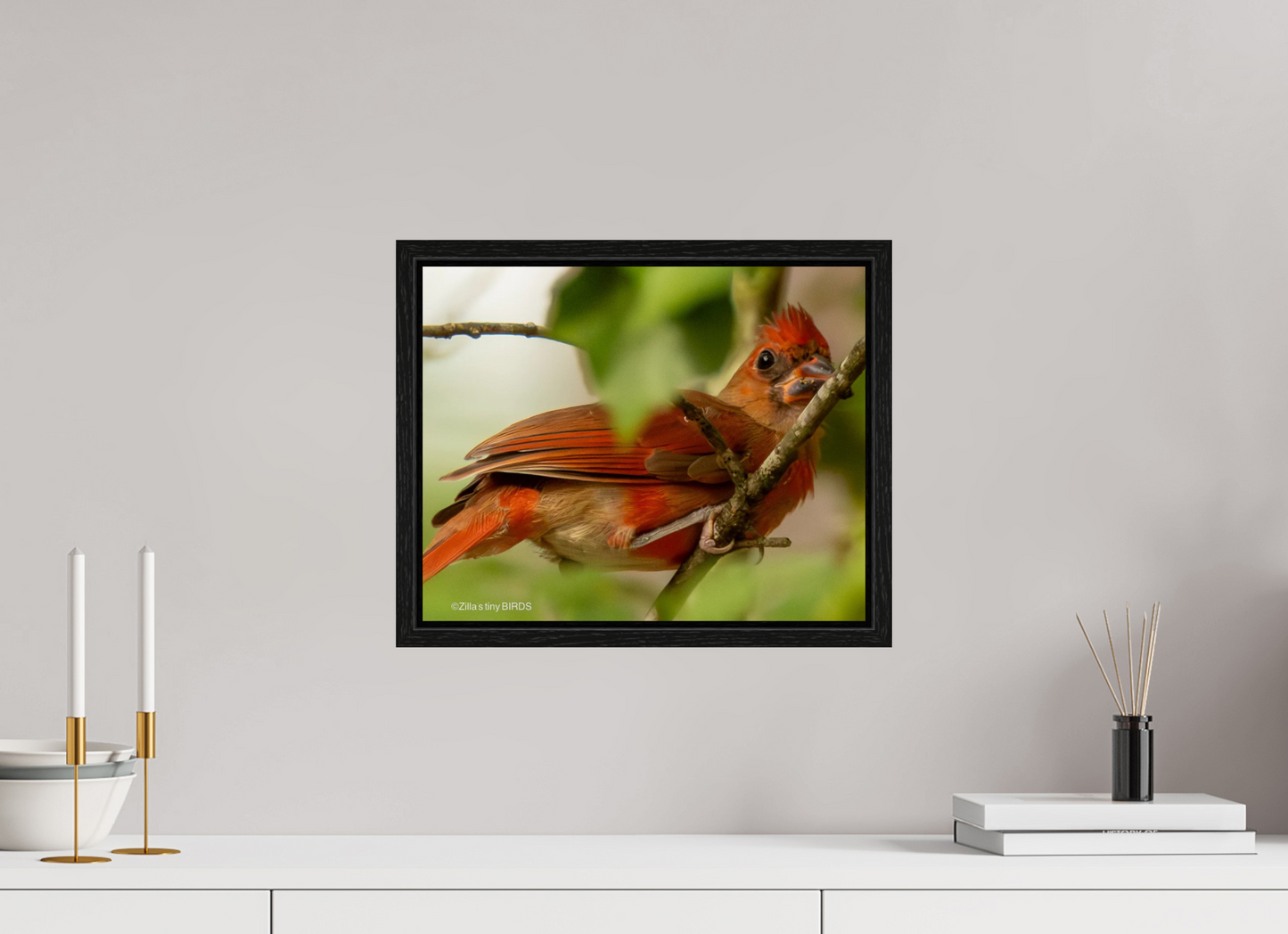 15 x 12″, Floater Frame Zillas Zoom Image 317