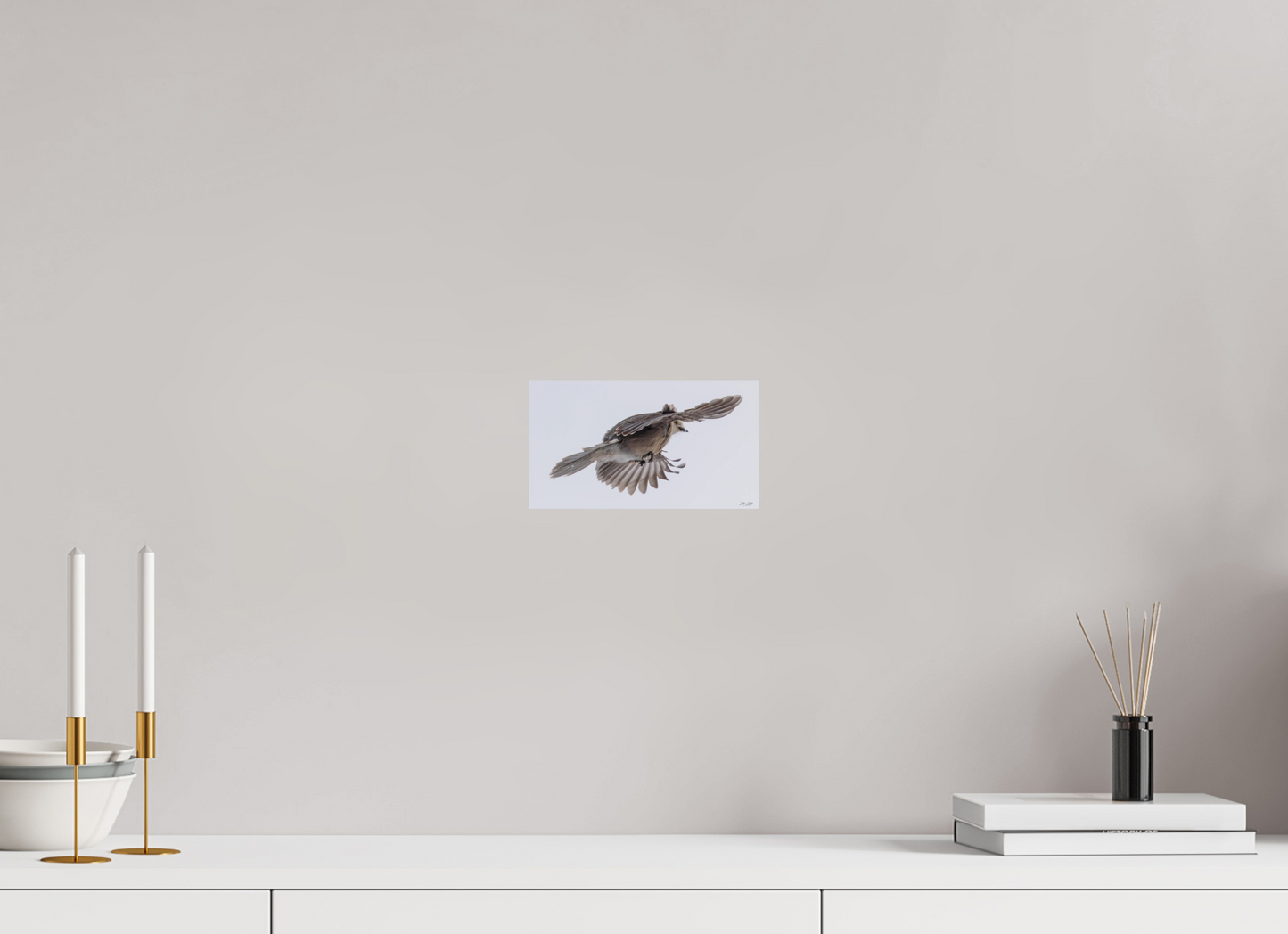 8 x 4.5″, Photo Print On Fuji Crystal DP II Zillas Zoom Image 352