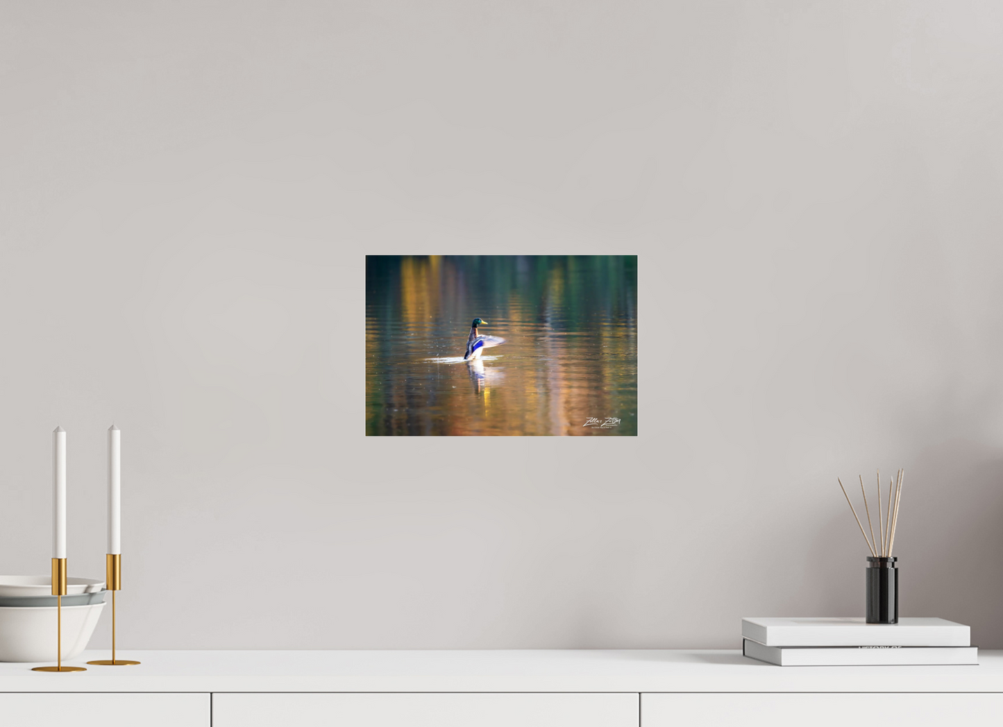 12 x 8″, Photo Print Under Acrylic Glass Zillas Zoom Image 345