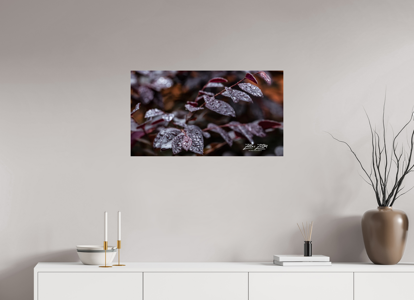 32 x 18″, Photo Print Under Acrylic Glass Zillas Zoom Image 88