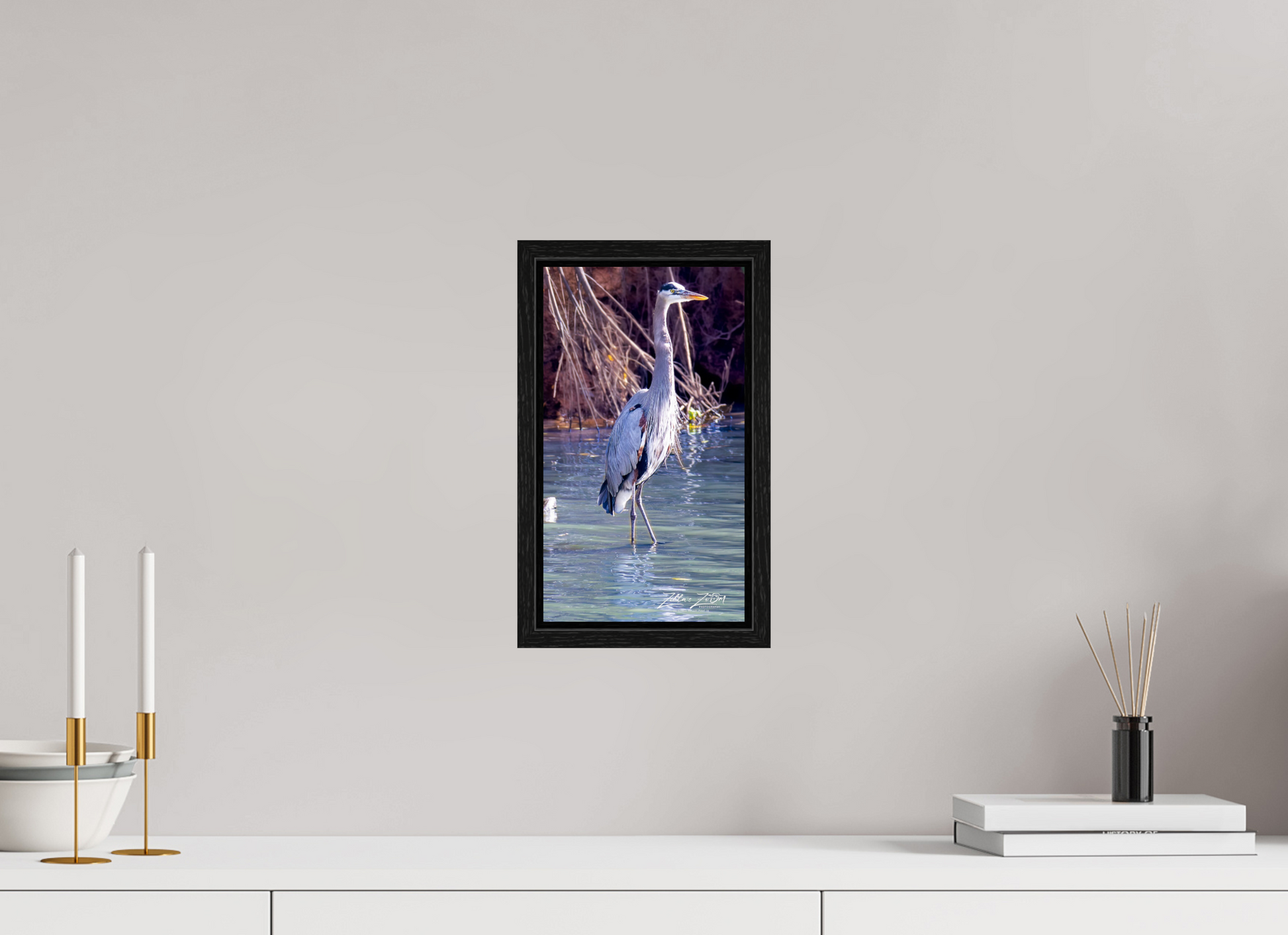 6.8 x 12″, Floater Frame Zillas Zoom Image 429