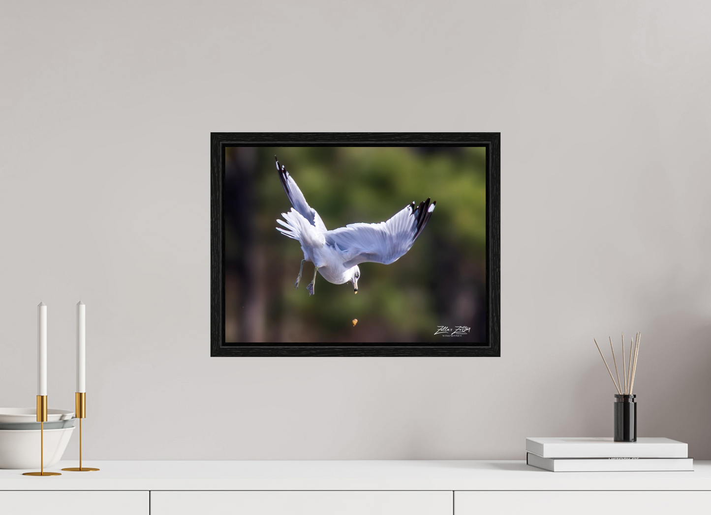 16 x 12″, Floater Frame Zillas Zoom Image 268