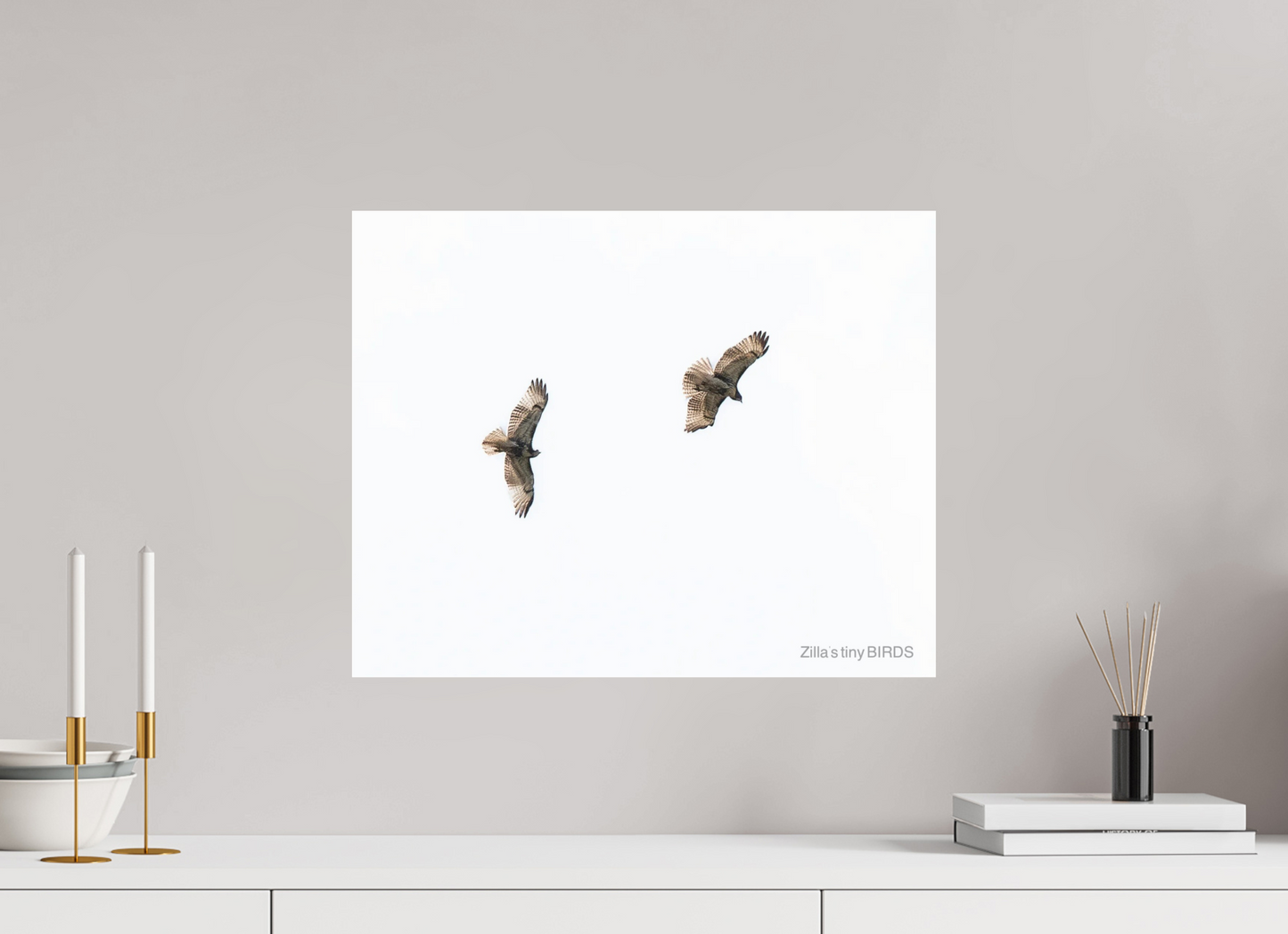 20 x 16″, Photo Print Under Acrylic Glass Zillas Zoom Image 371