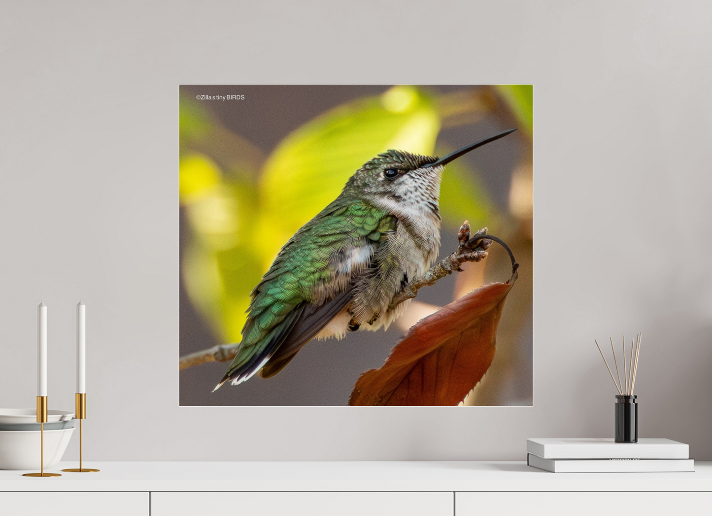 22 x 20″, Photo Print Under Acrylic Glass Zillas Zoom Image 347