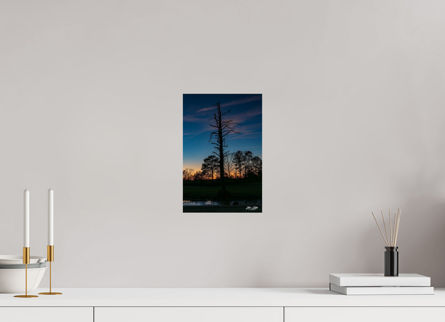 8 x 12″, Photo Print On Fuji Crystal DP II Zillas Zoom Image 82