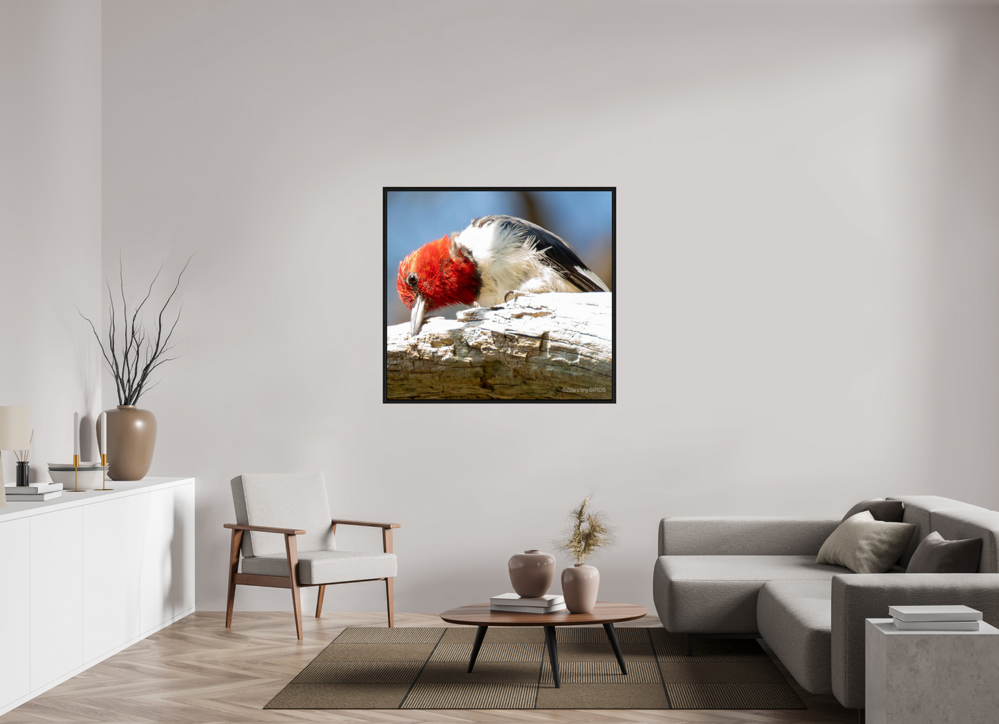 46.4 x 43″, Floater Frame Zillas Zoom Image 270